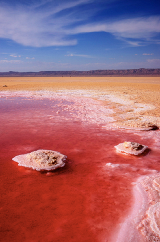 Illustration for article titled Photos of Mars...on Earth...in Tunisia